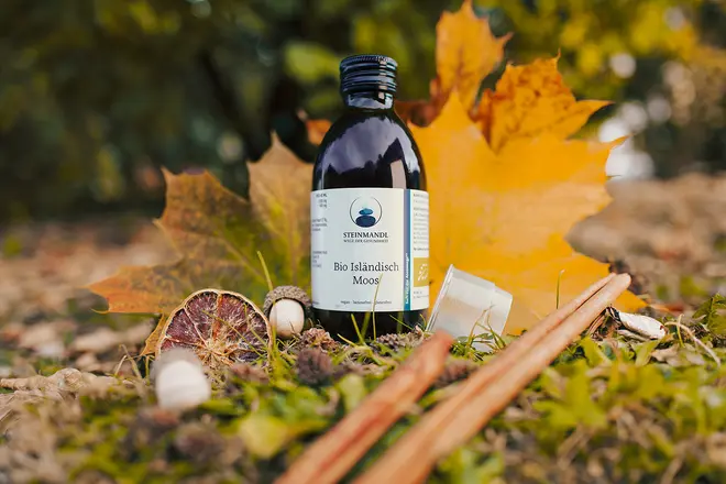 Eine kleine dunkle Glasflasche mit weißem Etikett steht auf dem Boden, umgeben von Herbstblättern, Eicheln, Kastanien und Zimtstangen im Freien, mit verschwommenem Grün im Hintergrund.