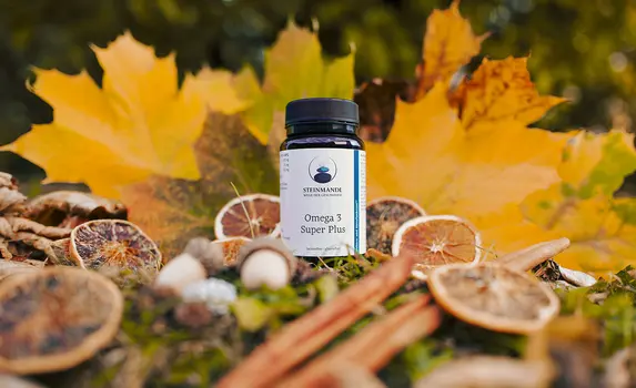 Eine Flasche mit einem Nahrungsergänzungsmittel ist umgeben von getrockneten Zitrusscheiben, Zimtstangen, Eicheln und grünem Moos, mit großen Herbstblättern im verschwommenen Hintergrund.